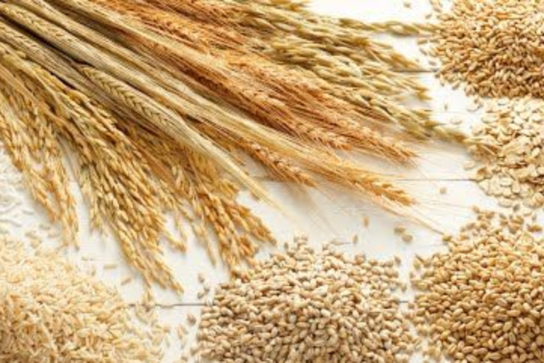 Formulations of food fortification