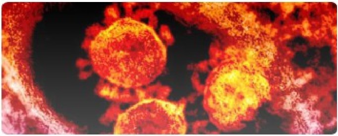 Application expert pages (1)_page-0001 (2)