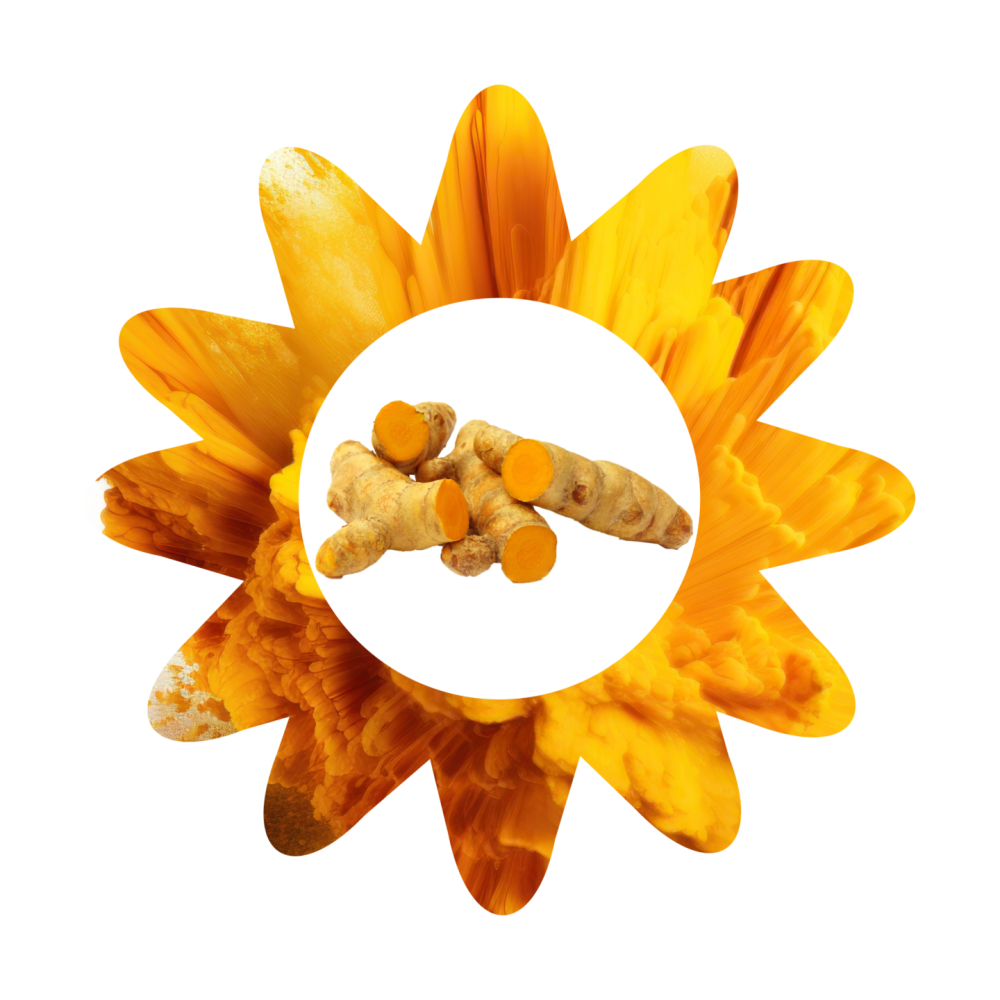Sun Turmeric 1.8